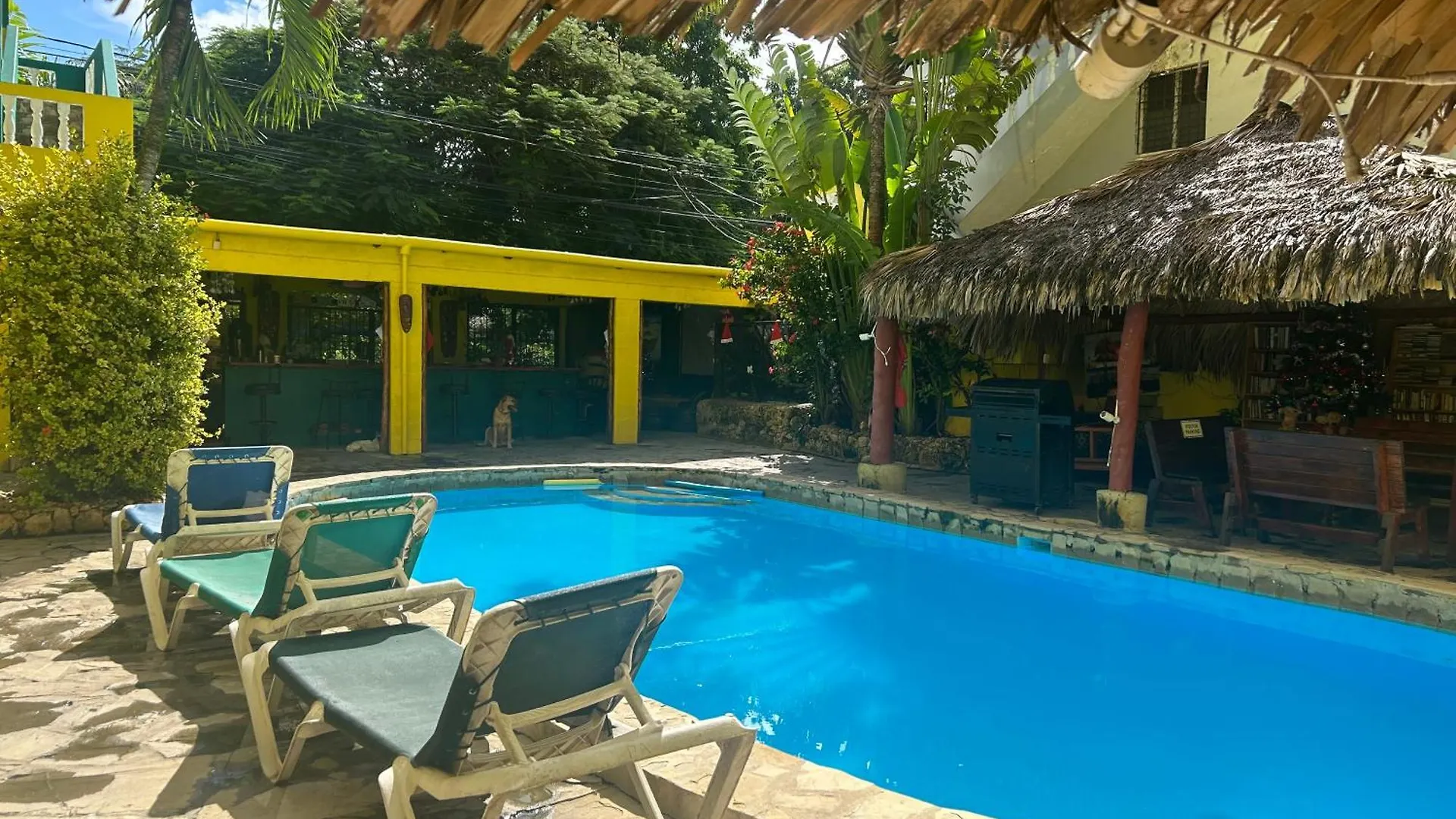 Coco Hotel And Hostel Sosúa Dominikai Köztársaság